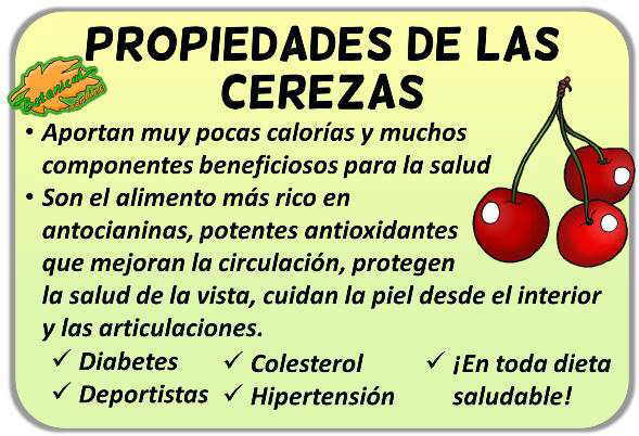 propiedades medicinales de las cerezas de cerezo