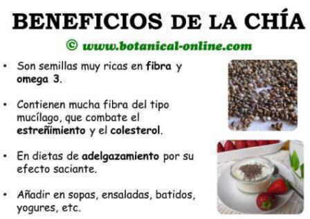 Beneficios de la chía