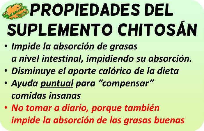 chitosan propiedades medicinales