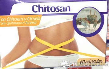 chitosan suplemento