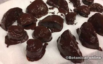 receta fruta bañada en chocolate negro para bombones caseros naturales