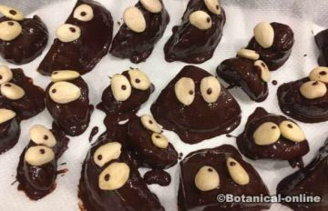 postre infantil bombones de chocolate con fruta decorados como muñecos