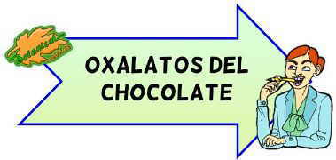 oxalatos del chocolate