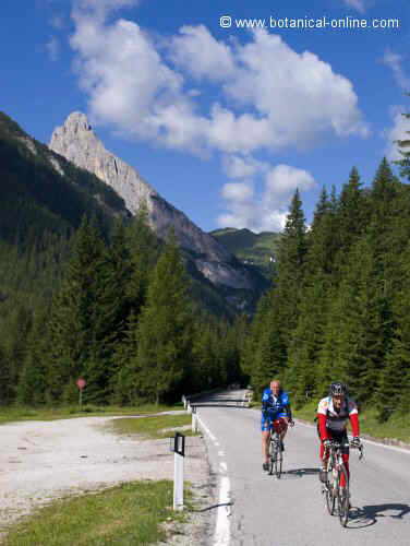 ciclista en las dolomitas