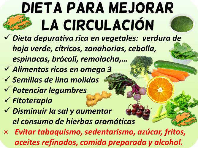 dieta para la circulacion