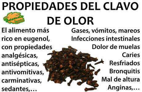 propiedades medicinales del clavo de olor