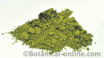 hojas polvo moringa