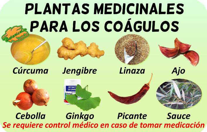 coagulos remedios caseros con plantas medicinales