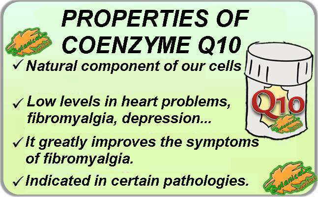 Medicinal properties of Coenzyme Q10 supplements