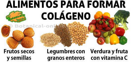 alimentos para la formación de colageno