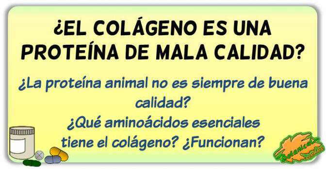 colageno proteina calidad mitos suplementos eficacia