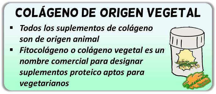 colageno de origen vegetal fitocolageno