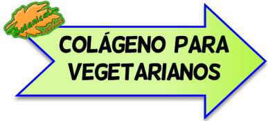 colageno para vegetarianos