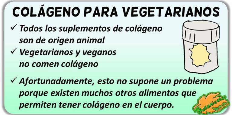 colageno proteina calidad mitos suplementos para vegetarianos y veganos