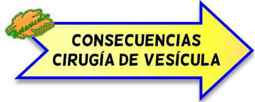 Efectos de quitar la vesicula