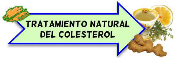 colesterol tratamiento natural