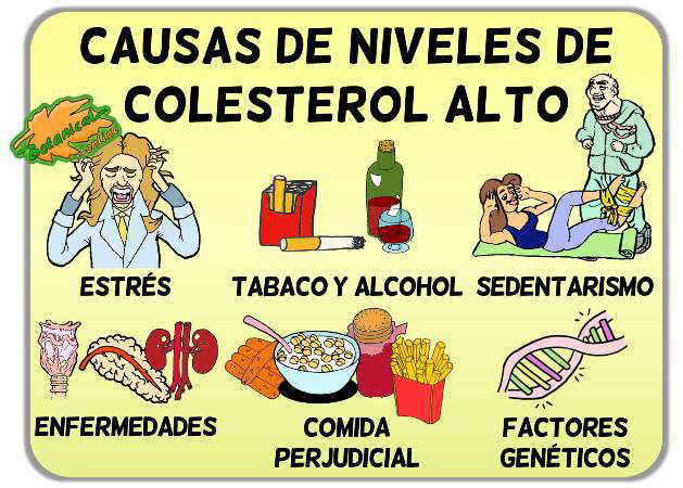 causas niveles de colesterol malo alto