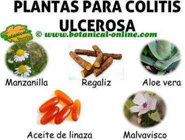 Alimentos prohibidos para la colitis ulcerosa Alimentos prohibidos para la colitis ulcerosa