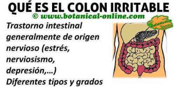 sindrome intestino o colon irritable, que es
