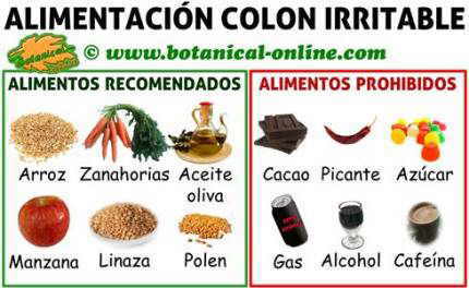 dieta para colon o intestino irritable, alimentos prohibidos y recomendados