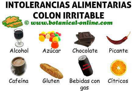 intolerancias alimentarias colon irritable, alimentos prohibidos para dieta intestino irritable