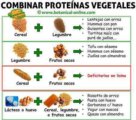 tabla combinacion de las proteinas vegetales segun sus aminoacidos esenciales y limitantes