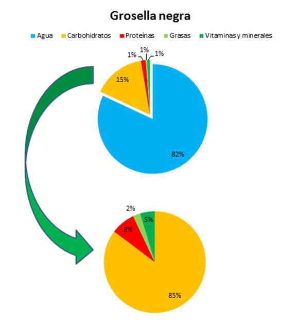 Composicin de las grosellas negras