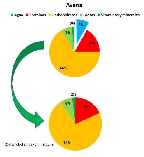 composicion de la manzana