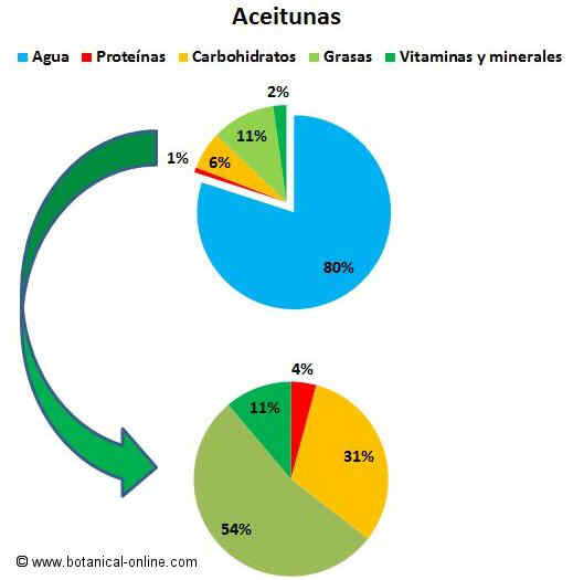 Composicion de las aceitunas