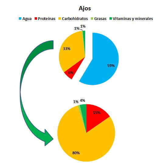 Composicin de los ajos