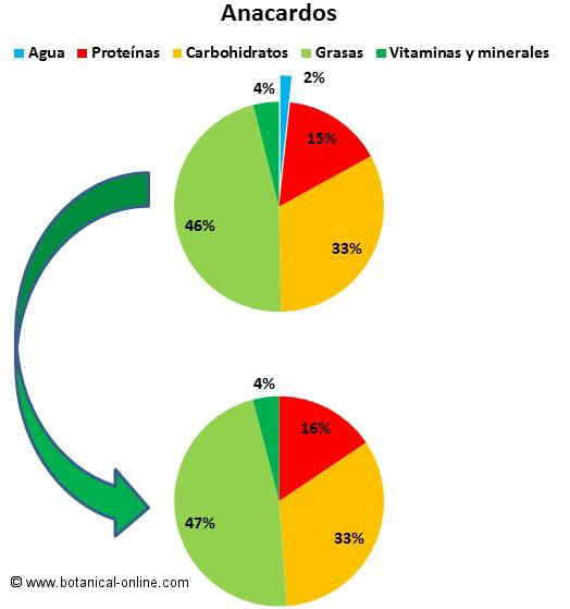 Composición de los anacardos