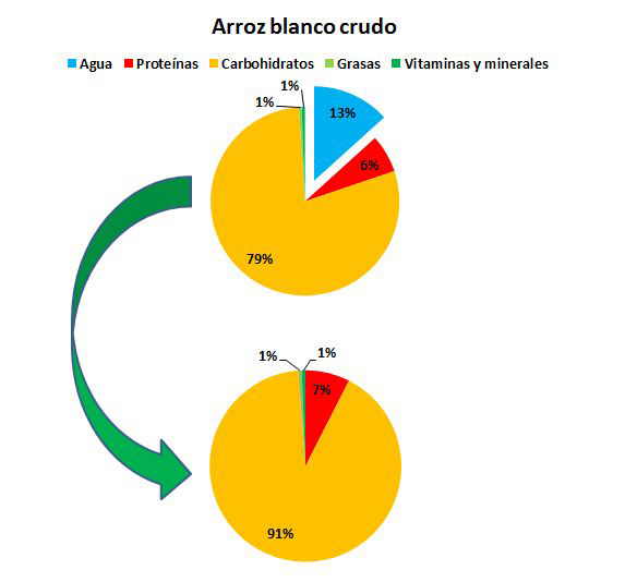 composicion de la manzana