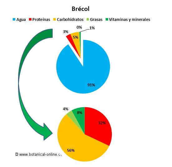 Composición del brécol