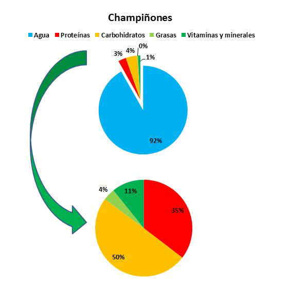 composicion de los champiñones