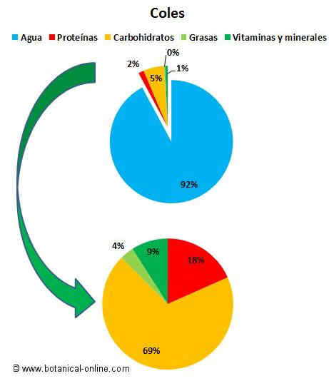 composicion de la col