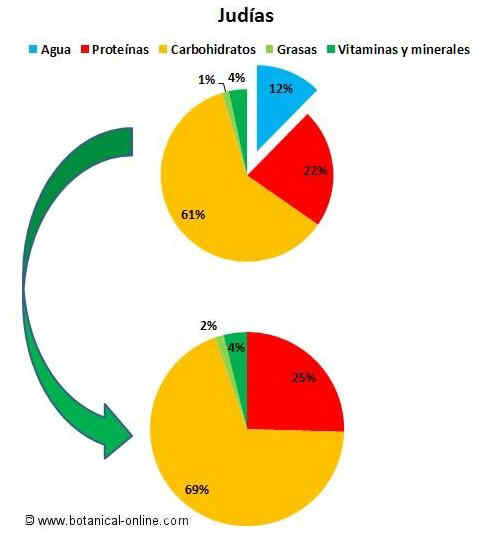 Composicin de las judas