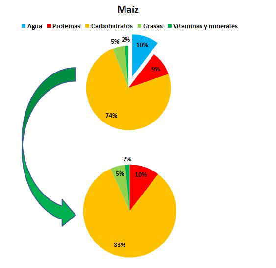 Composicin del maz