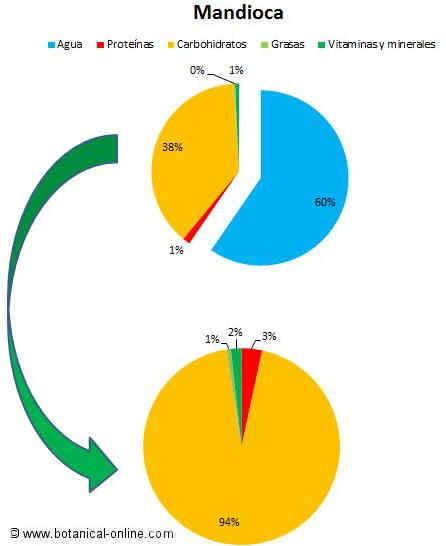 Composicin de la mandioca