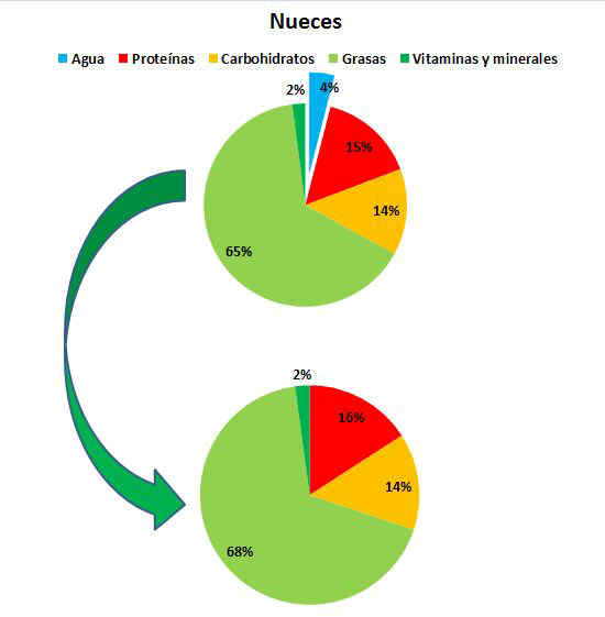 Composición de las nueces