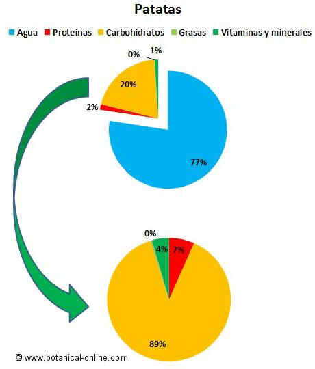 Composición de las patatas