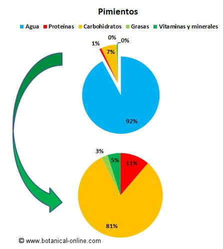 Composición de los pimientos