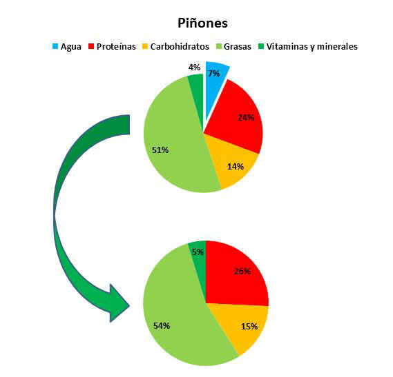 Composición de los piñones