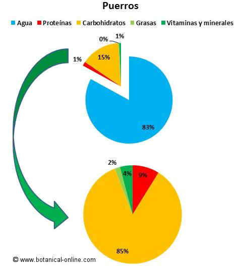 Composición de los puerros