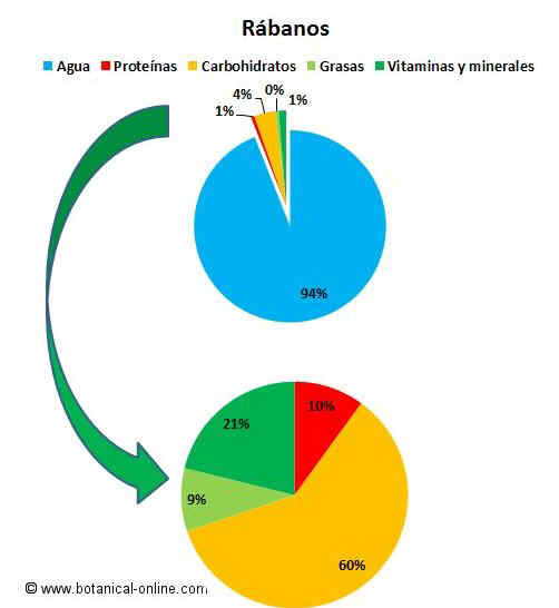 Composición de los rábanos