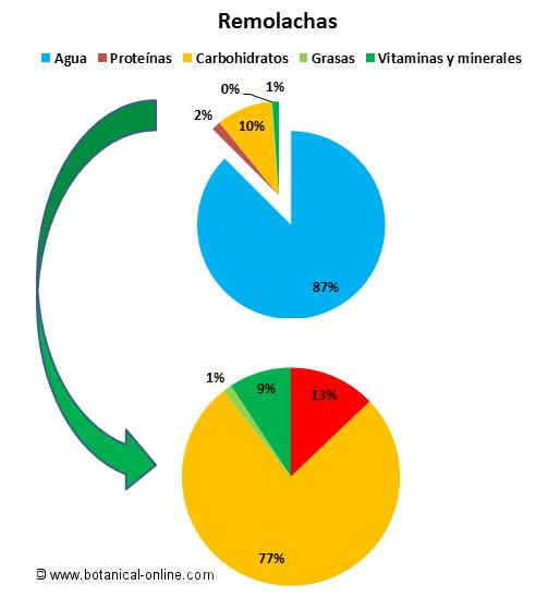 Composición de las remolachas