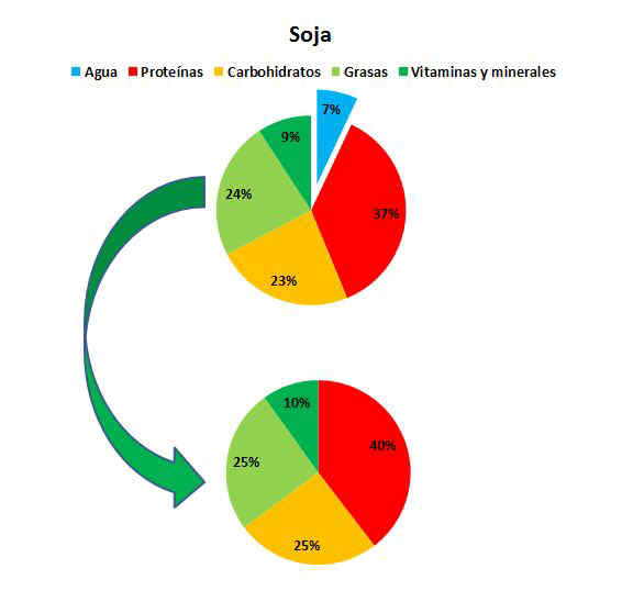 Composicion de la soja