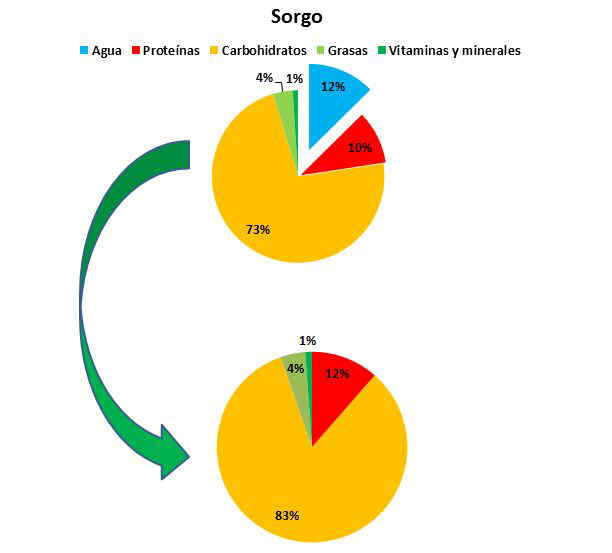 Composición del sorgo