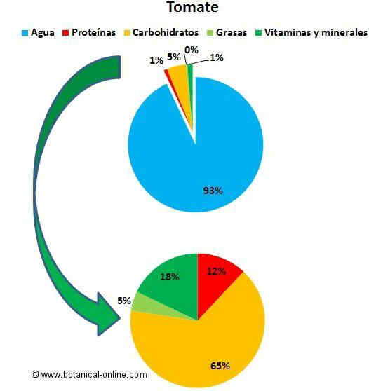 Composición del tomate