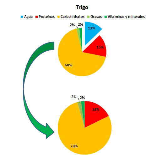 composición del trigo