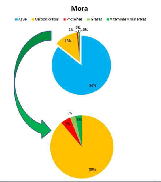 composicion del albaricoque